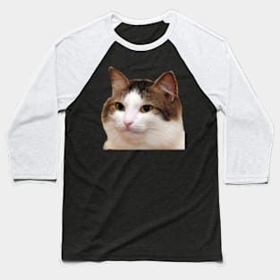 Stare Cat Emote Baseball T-Shirt